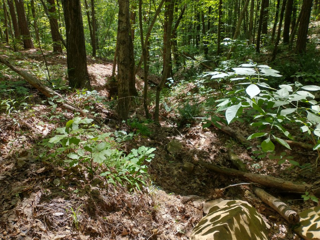img_20220528_105419442_hdr1.jpg
