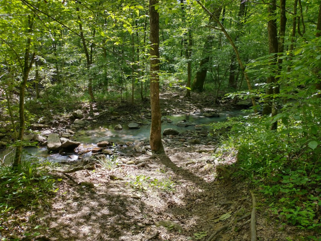img_20220528_111813393_hdr.jpg
