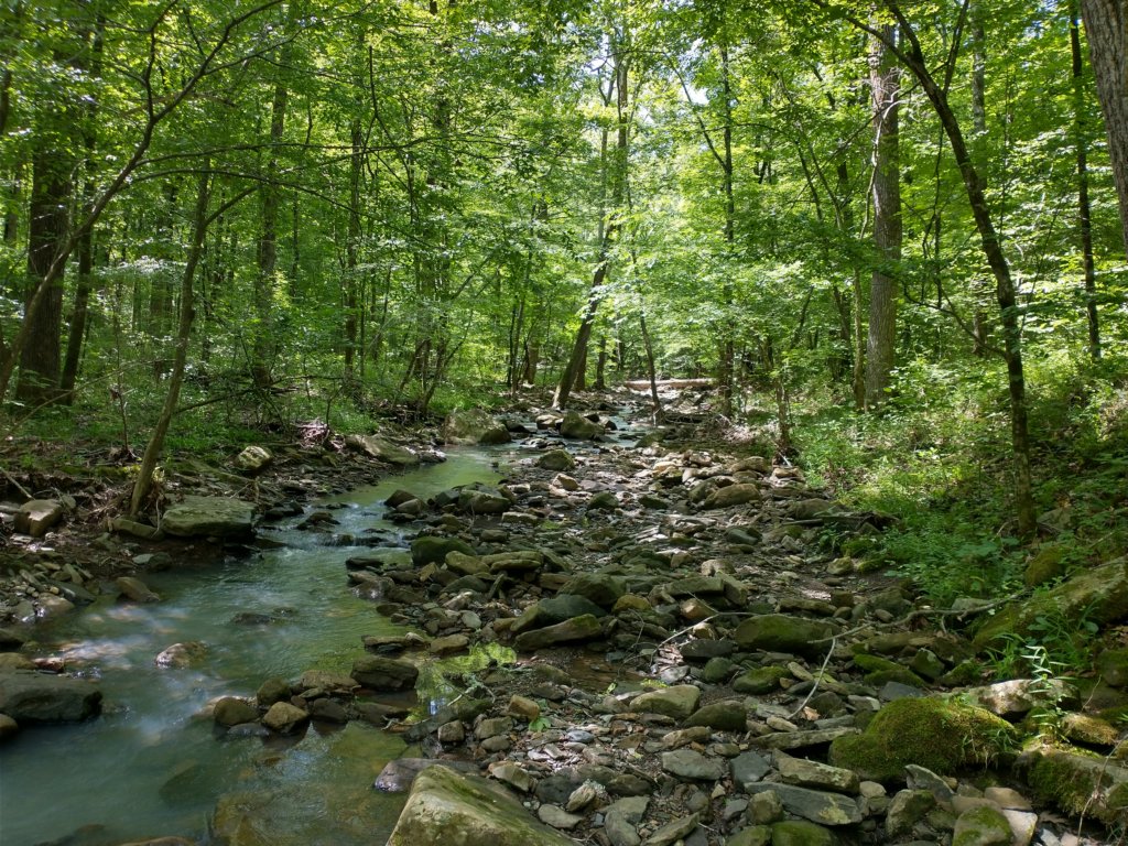 img_20220528_111831810_hdr.jpg