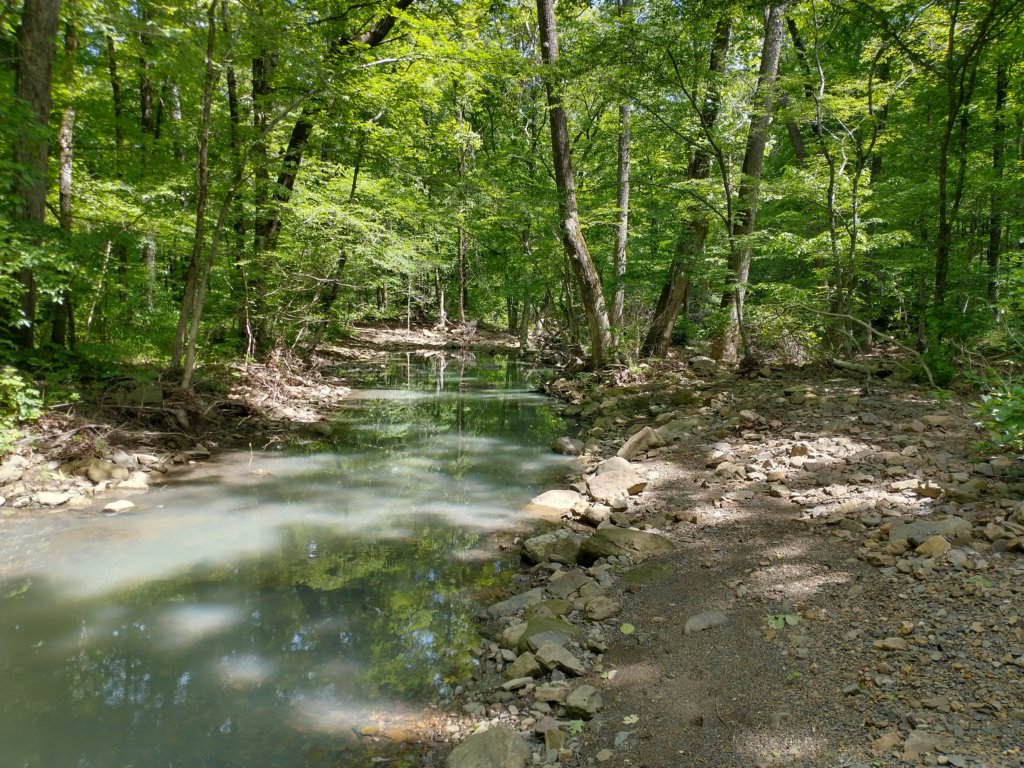 img_20220528_112408035_hdr.jpg