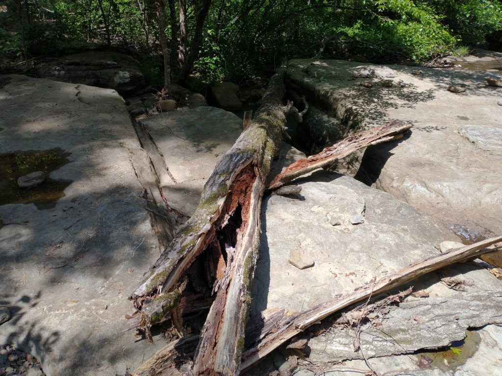 img_20220528_114447011.jpg