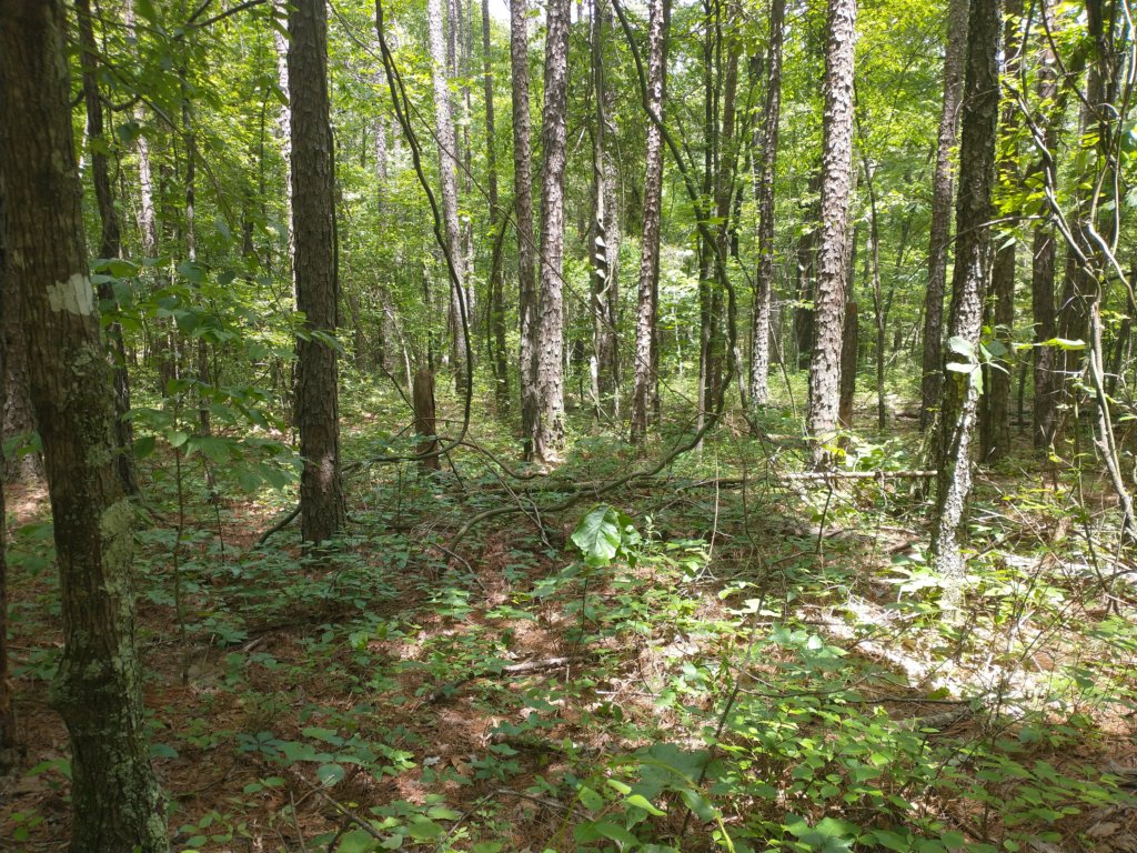 img_20220528_122820113.jpg