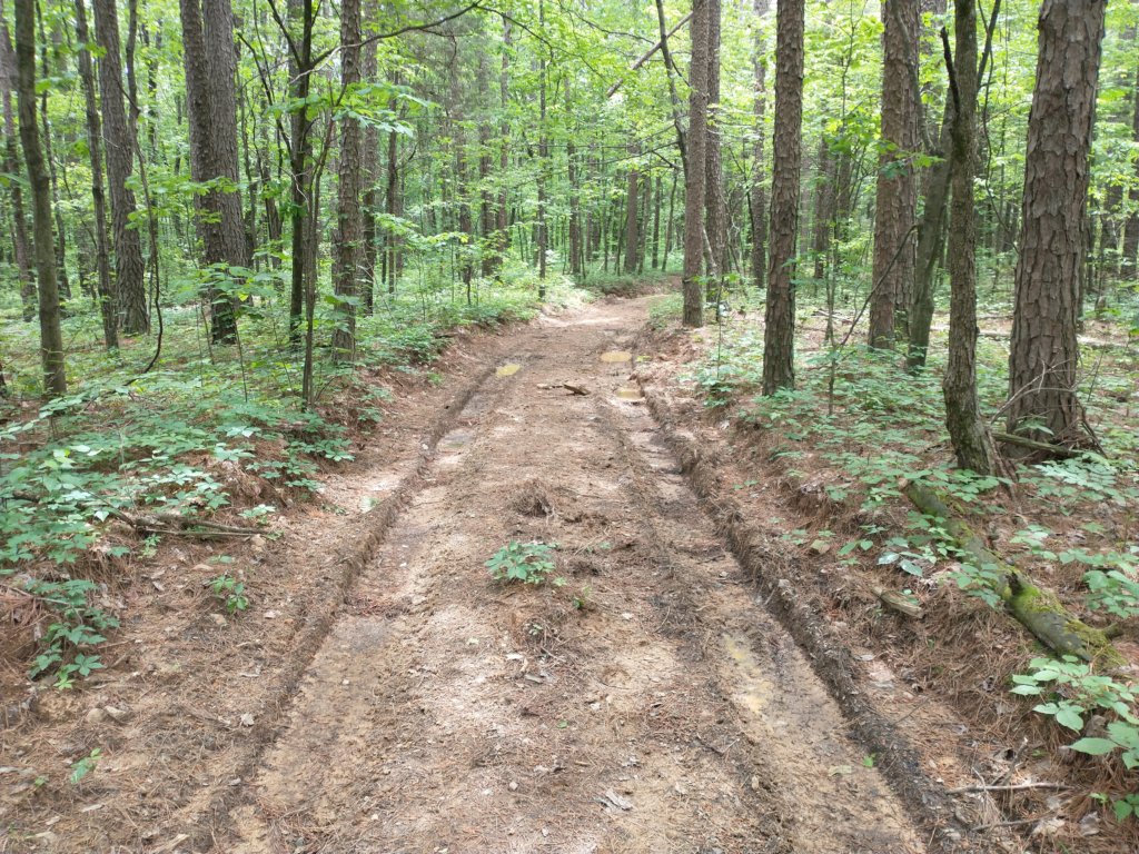 img_20220528_132007320.jpg