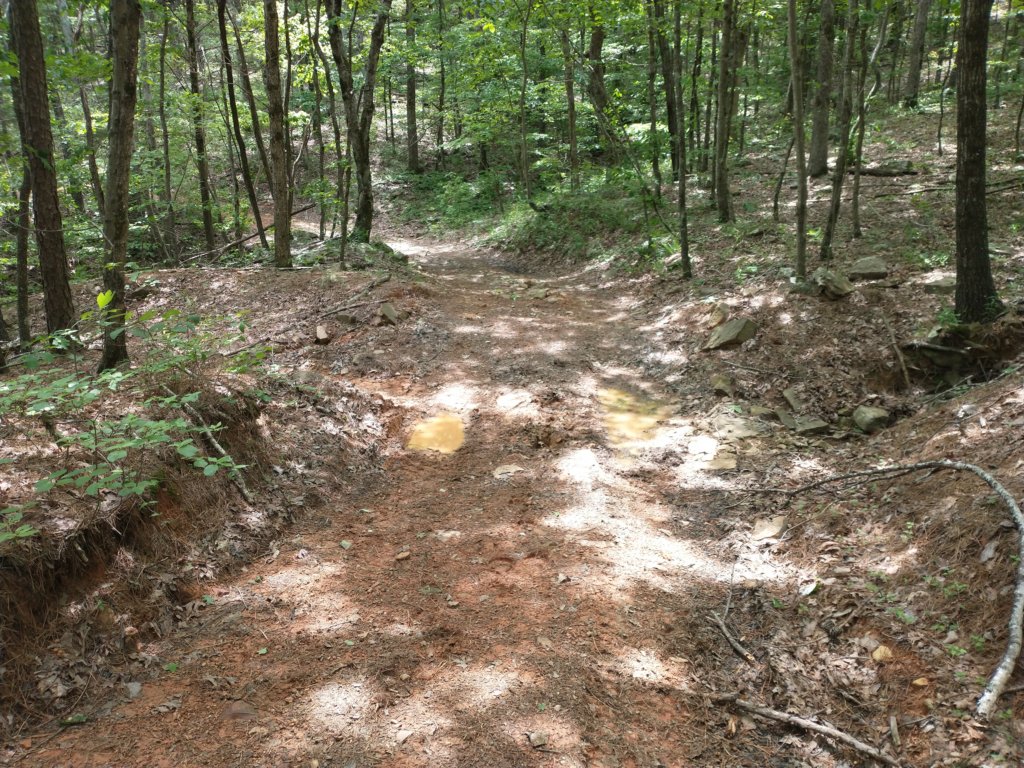 img_20220528_133527726.jpg