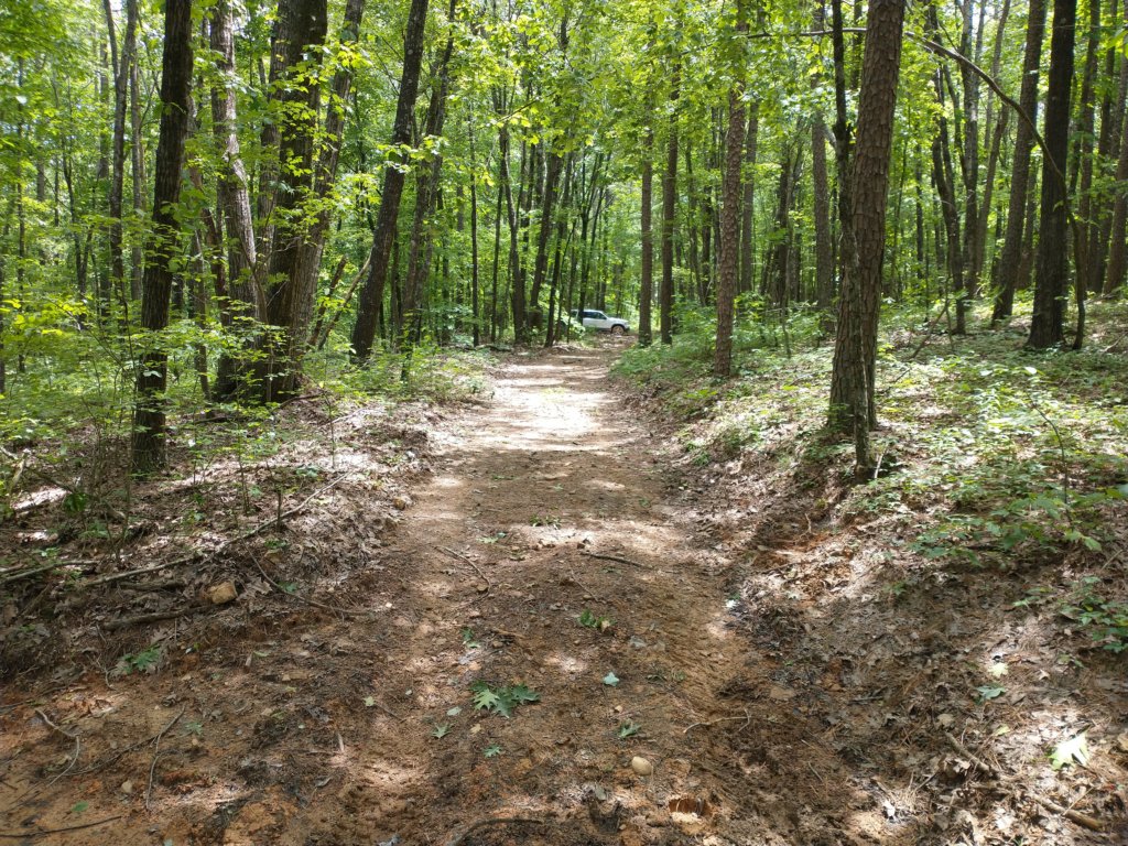 img_20220528_1341001031.jpg