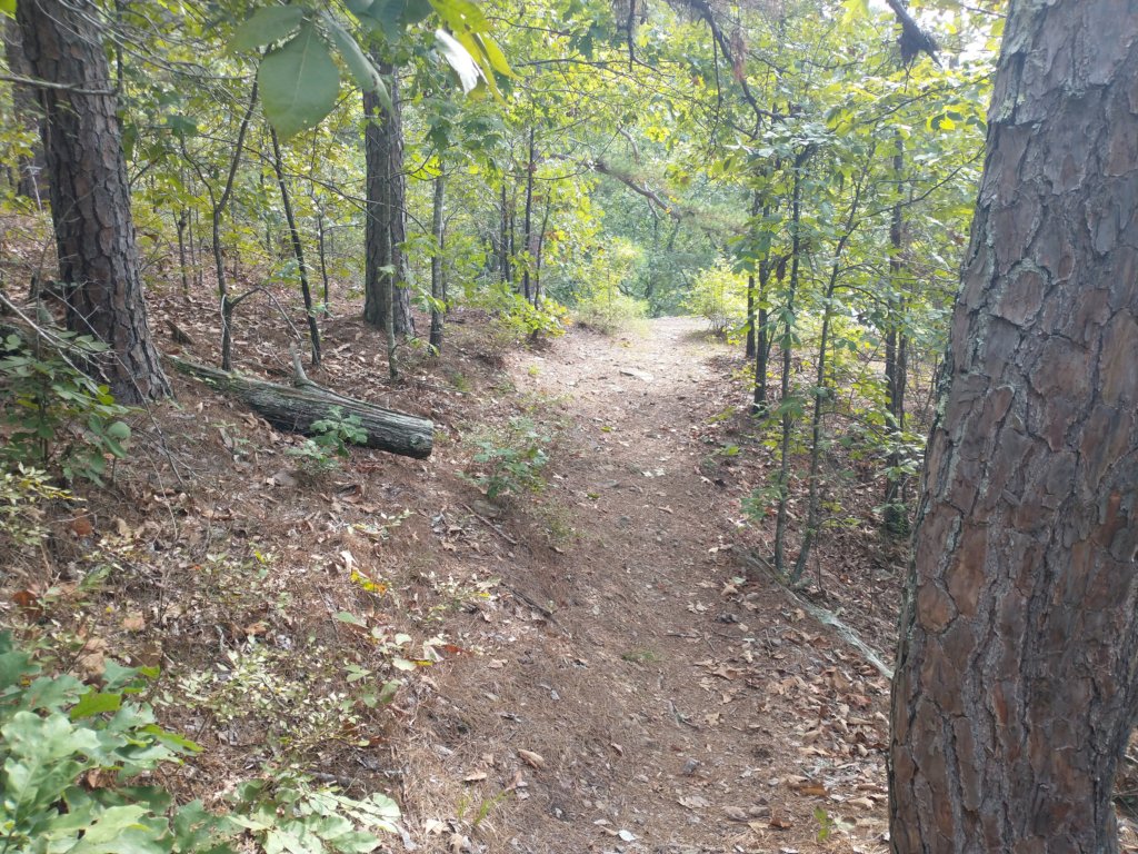 img_20220905_095649196.jpg