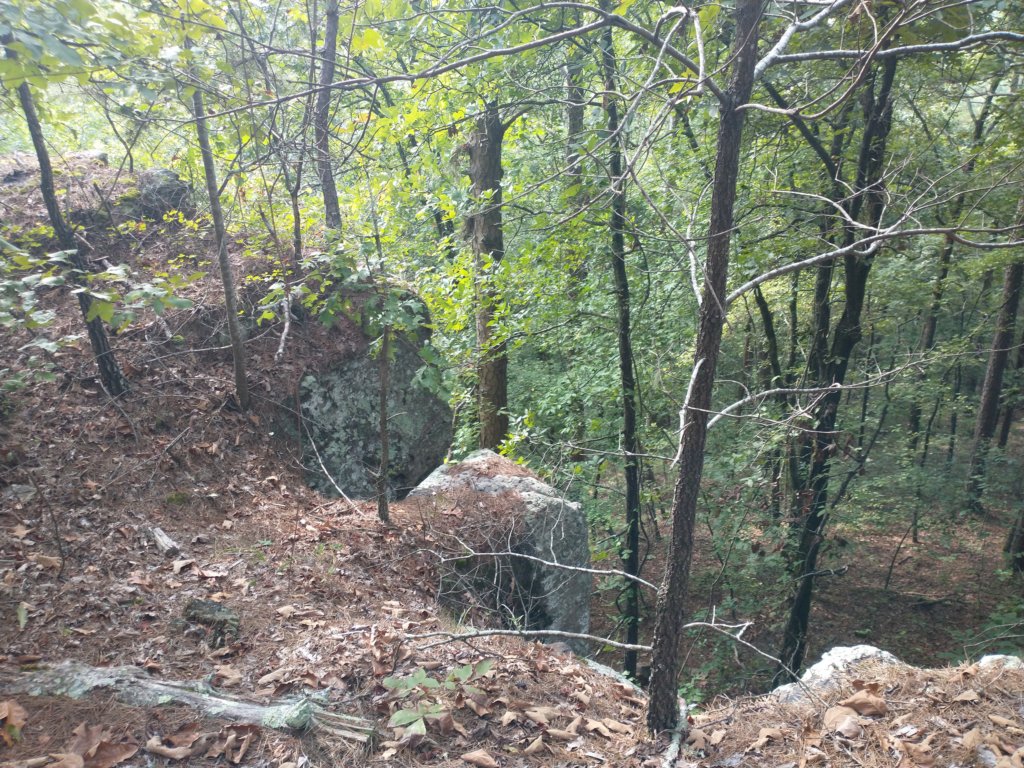 img_20220905_095655572.jpg