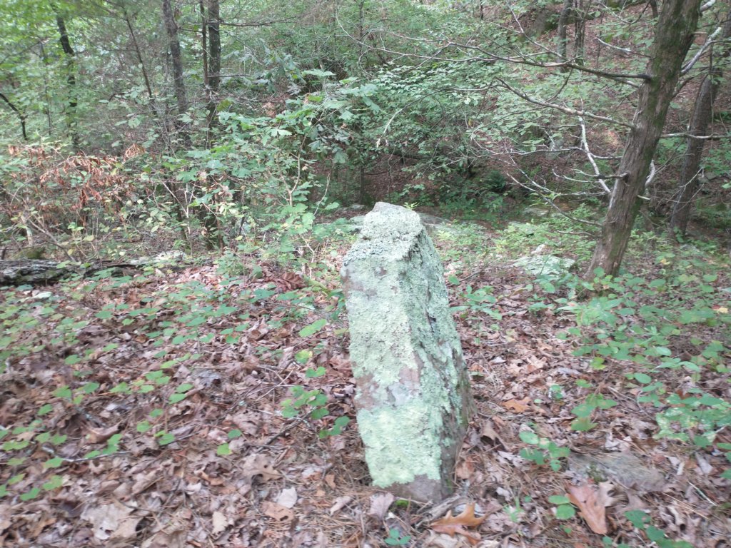img_20220905_100441386.jpg