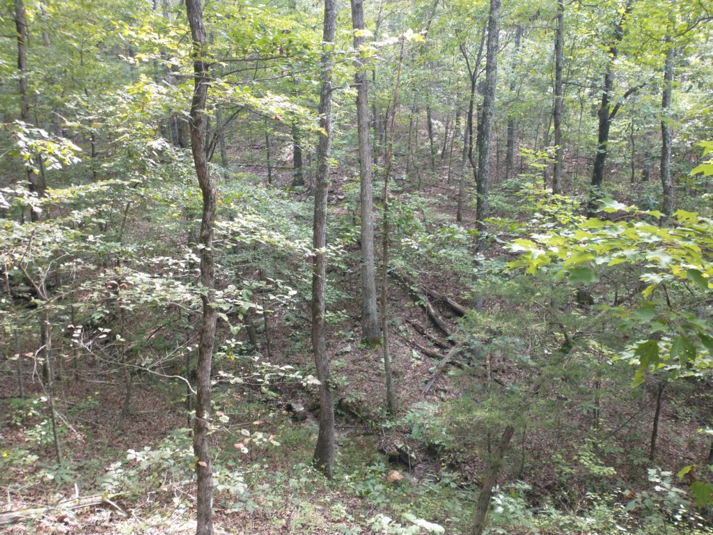 img_20220905_101656144.jpg