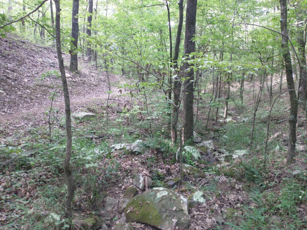 img_20220905_101818809.jpg