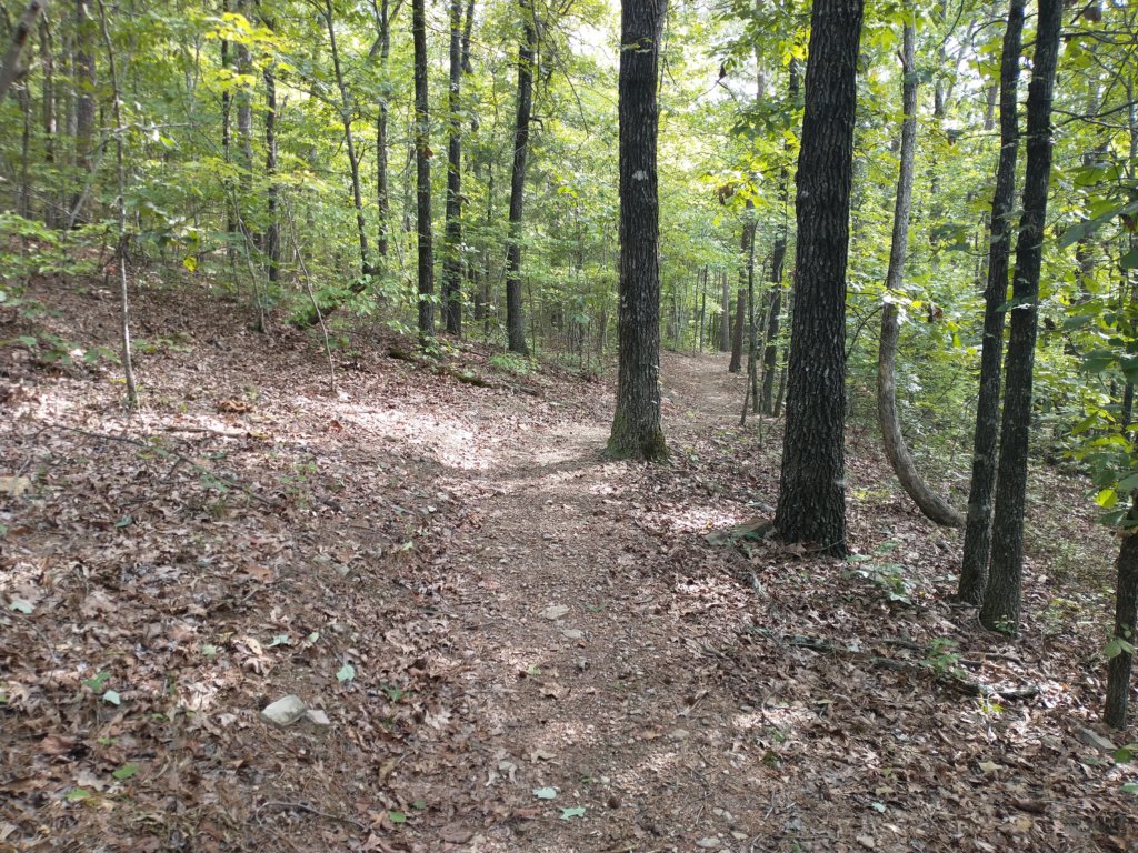 img_20220905_102420682.jpg
