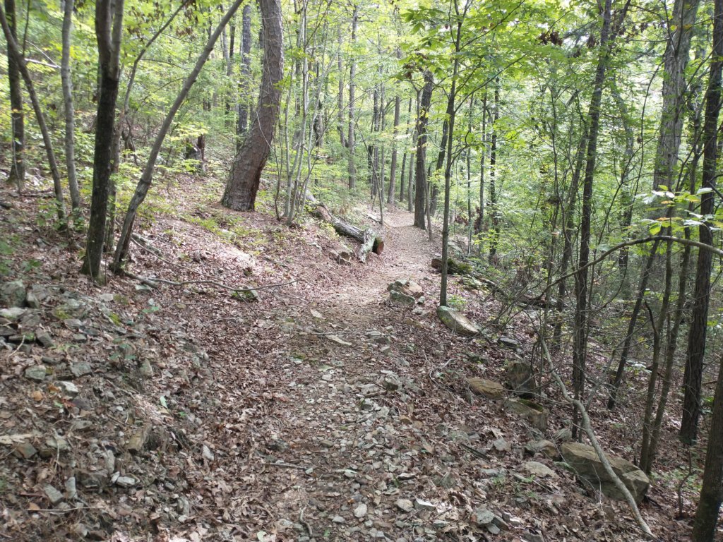 img_20220905_102646344.jpg