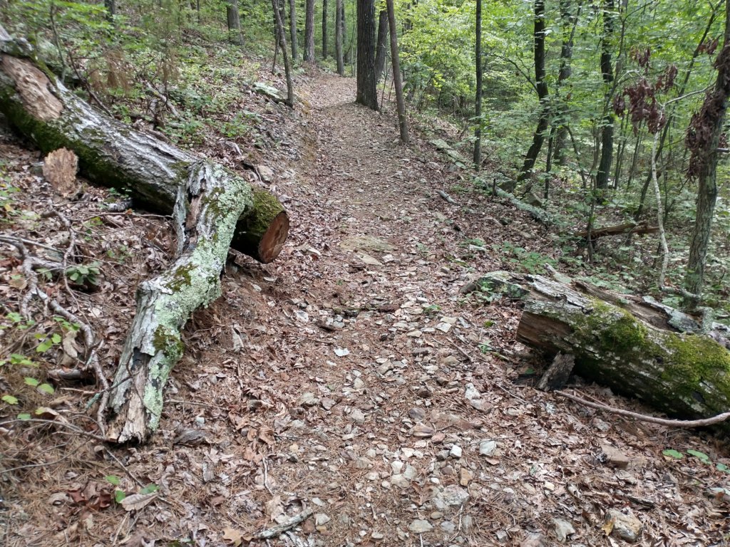 img_20220905_102717050_hdr.jpg