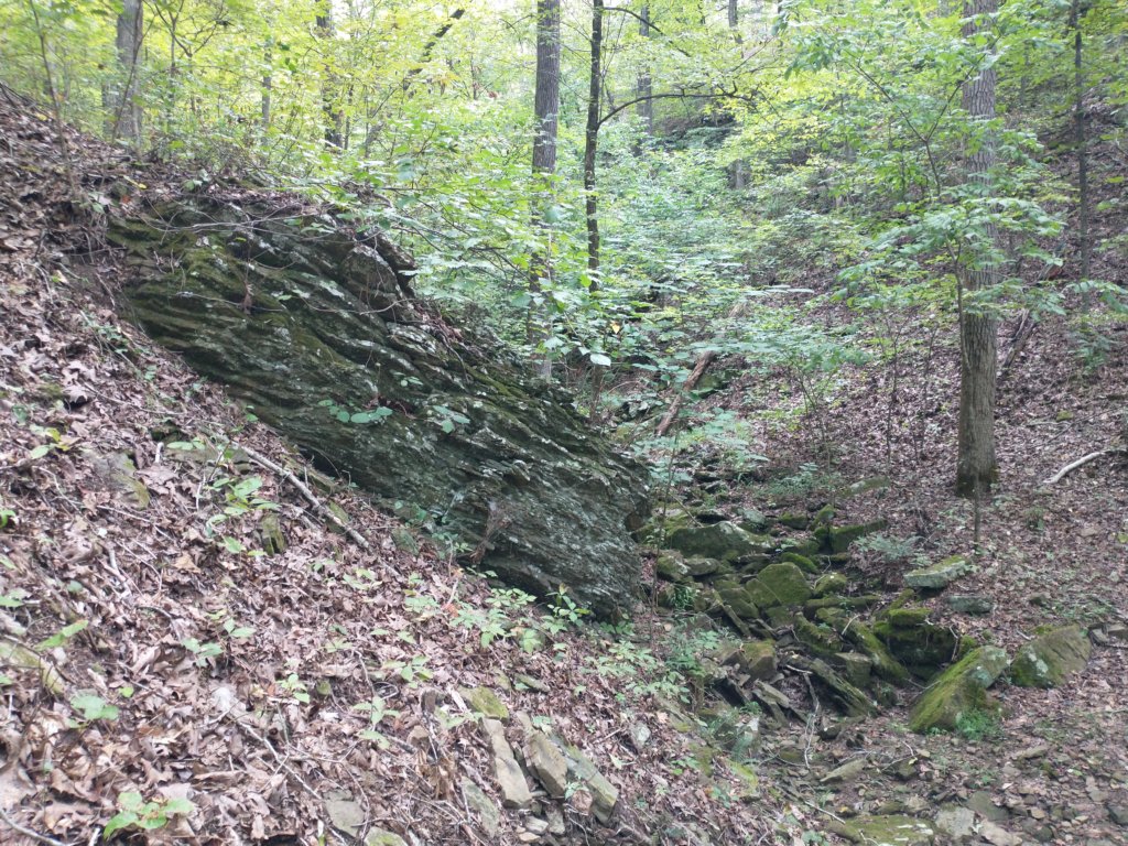 img_20220905_103028794.jpg