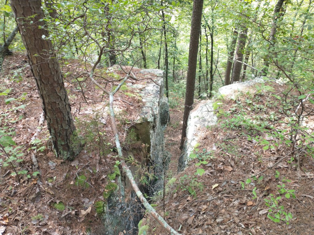 img_20220905_104121020.jpg