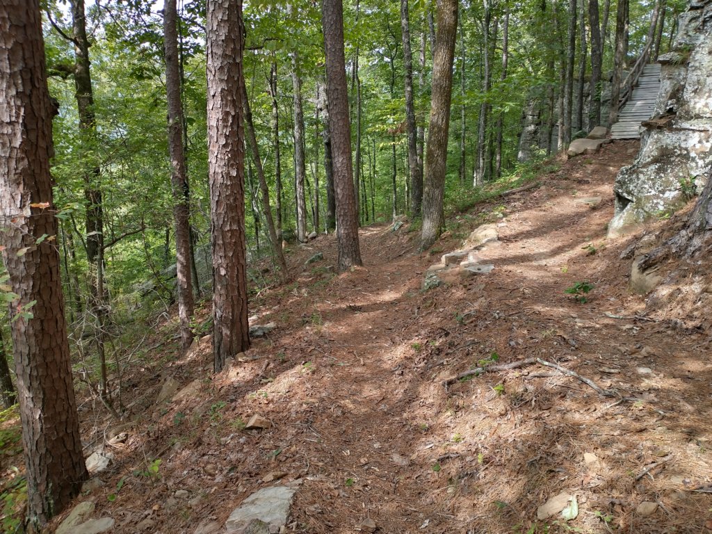 img_20220905_104307675_hdr.jpg