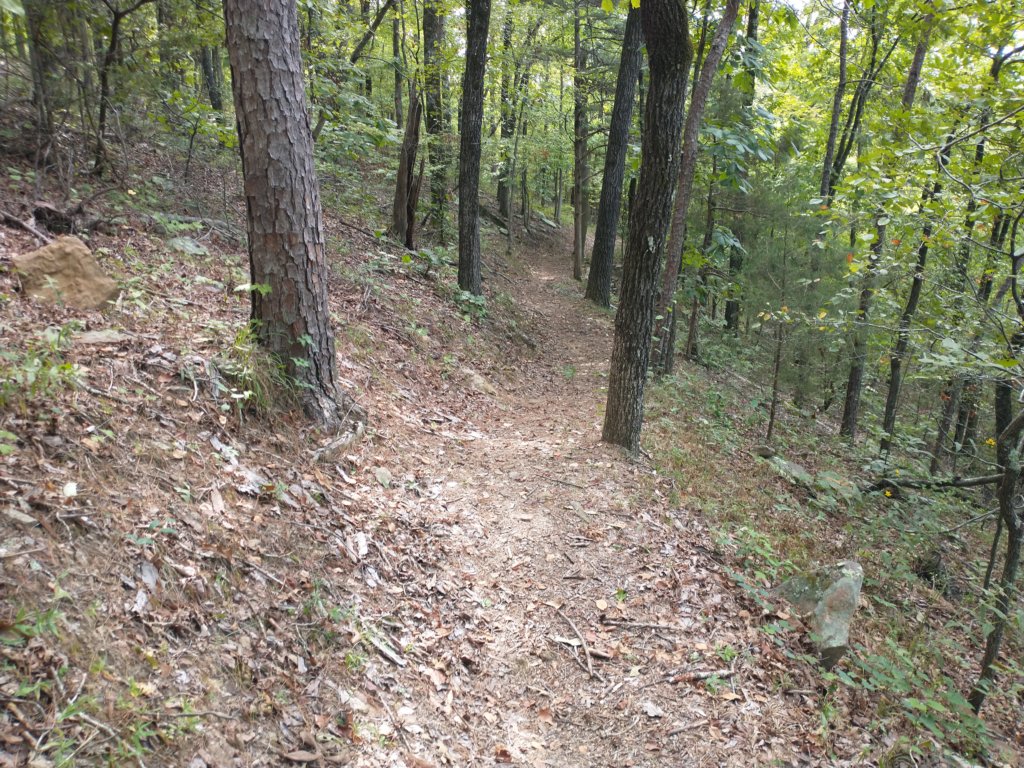 img_20220905_104745369.jpg