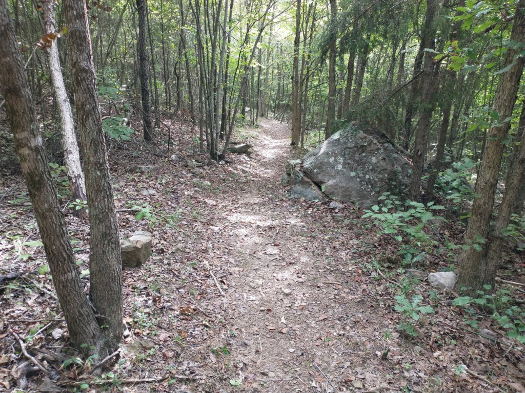img_20220905_104917825.jpg