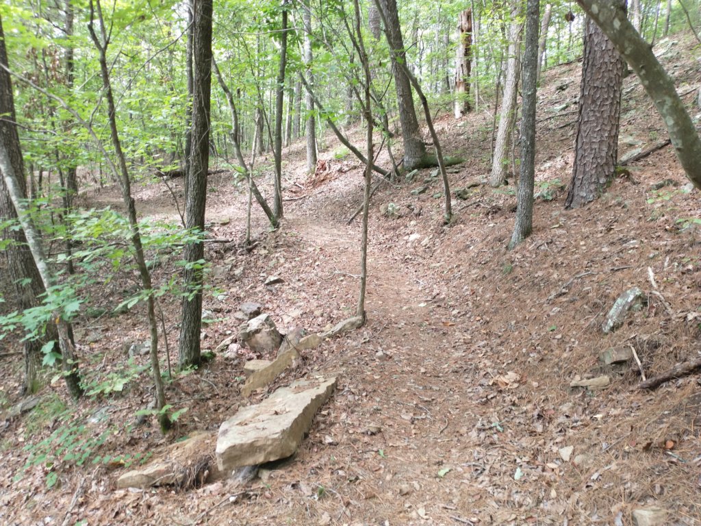 img_20220905_105846575.jpg