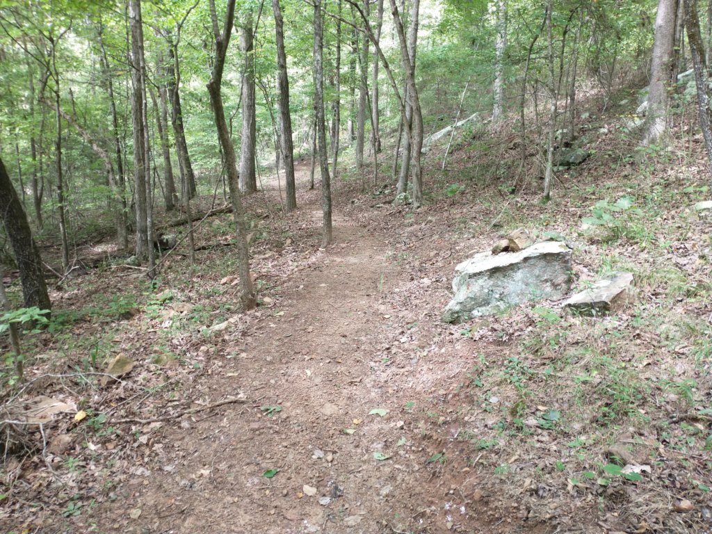 img_20220905_110345126.jpg
