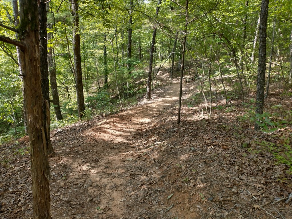 img_20220905_111052024_hdr.jpg
