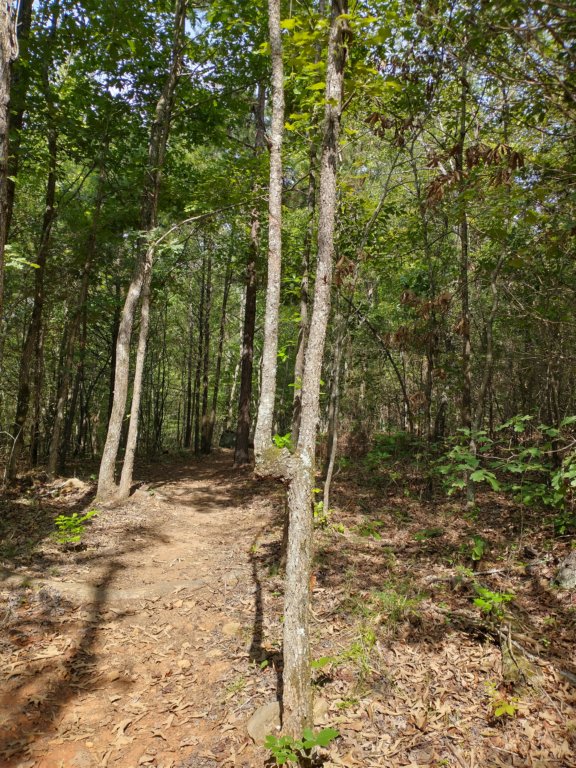 img_20220905_112306694_hdr.jpg