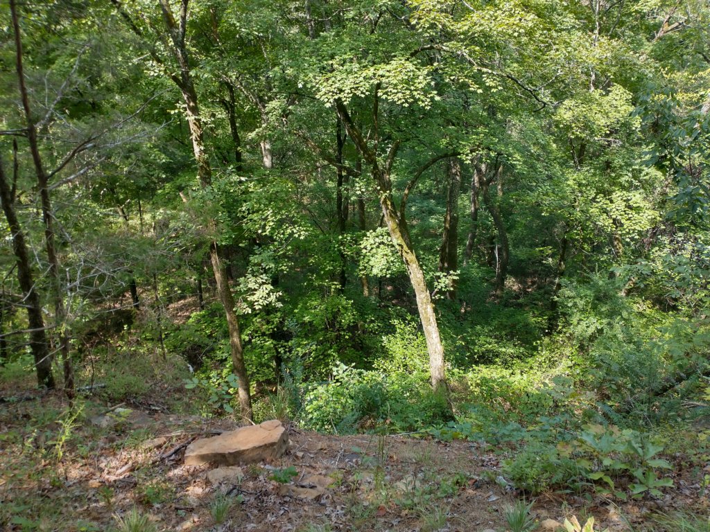 img_20220905_112817186_hdr.jpg