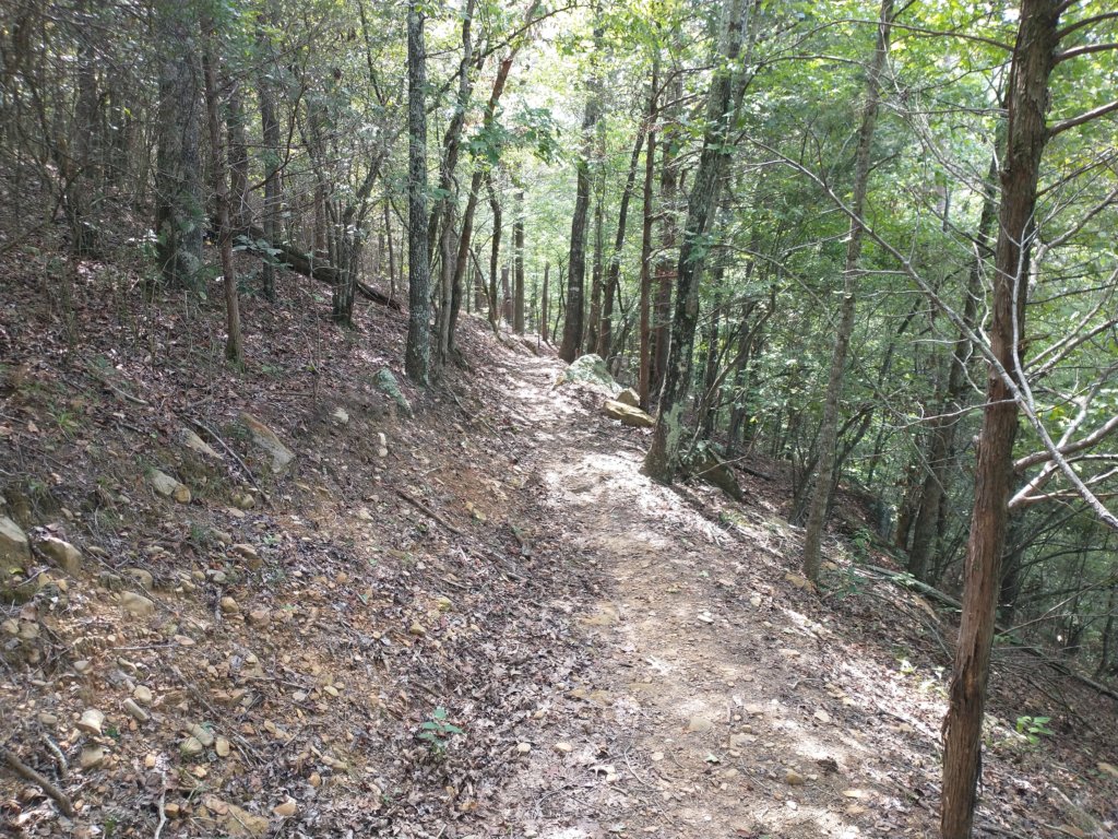 img_20220905_113201680.jpg
