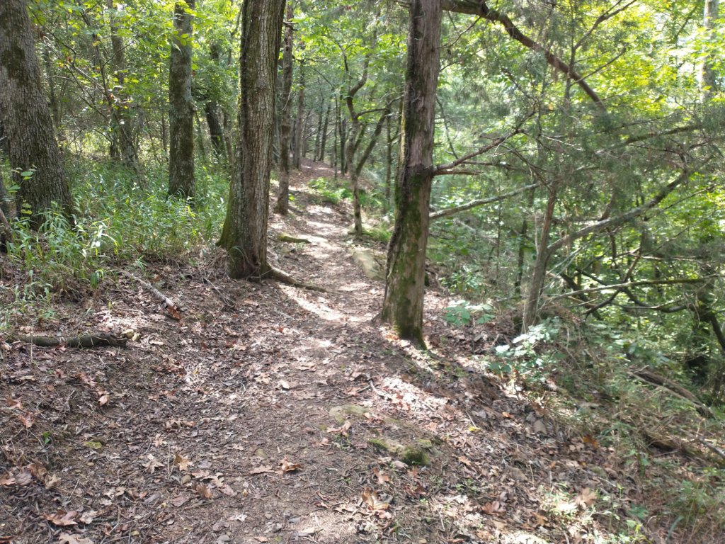 img_20220905_113529323.jpg