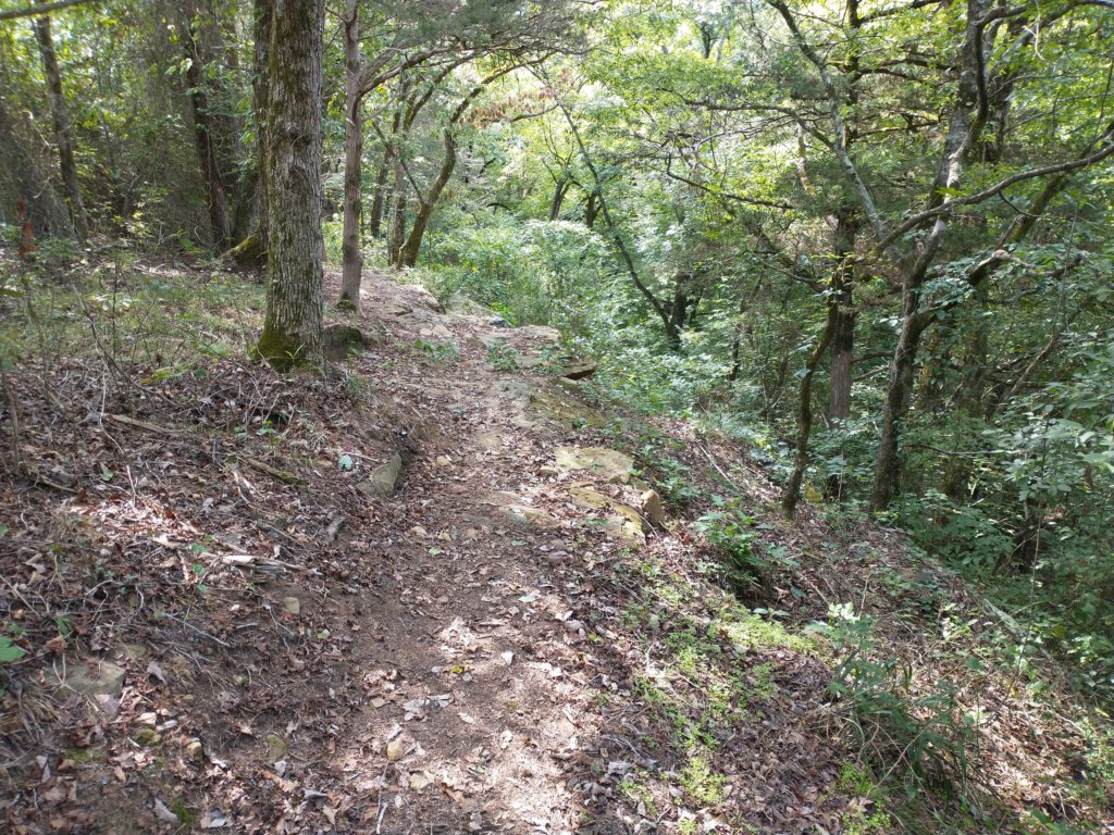 img_20220905_113831162.jpg
