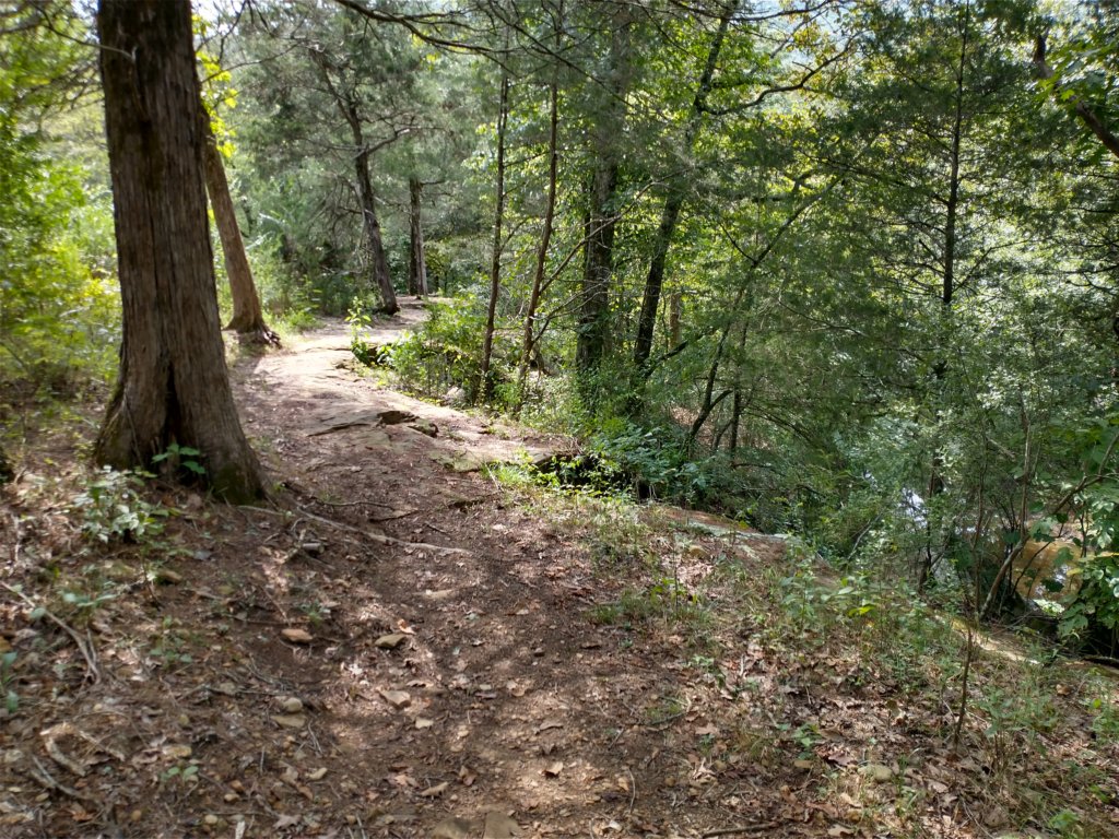 img_20220905_115546995_hdr.jpg