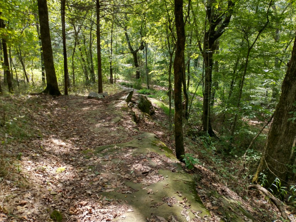 img_20220905_115744178_hdr.jpg