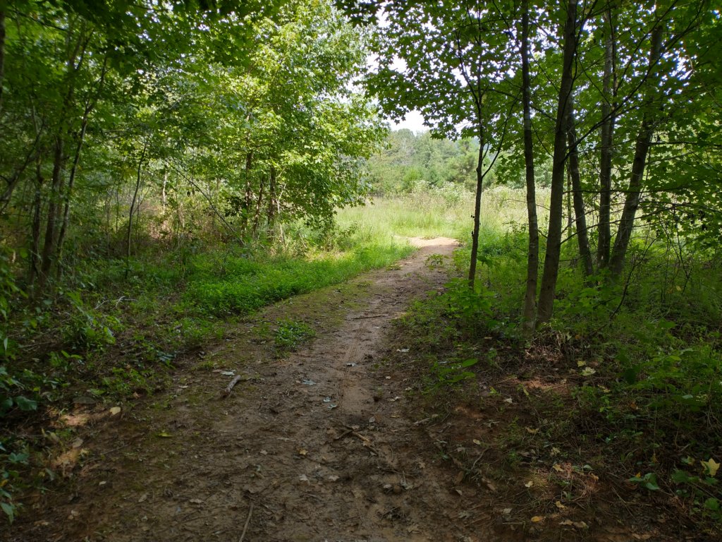 img_20220905_120304332_hdr.jpg