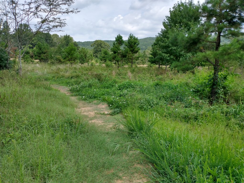 img_20220905_120346099_hdr.jpg