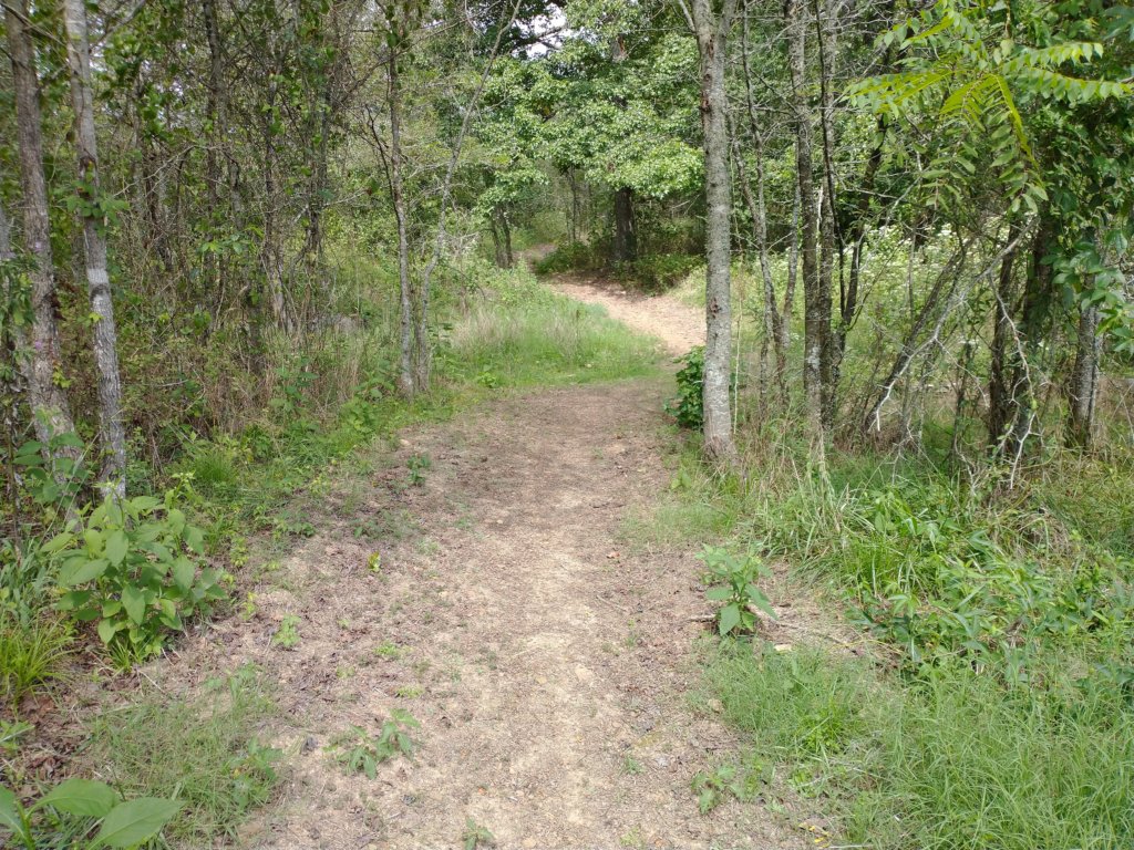 img_20220905_120730591.jpg