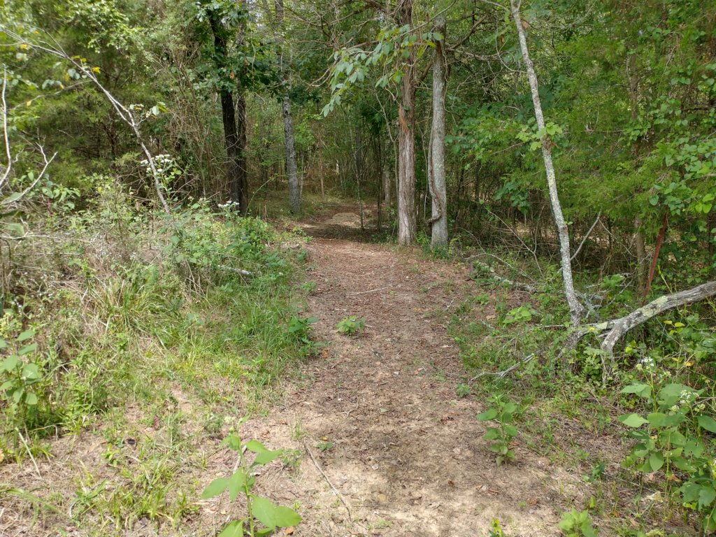 img_20220905_121724572_hdr.jpg