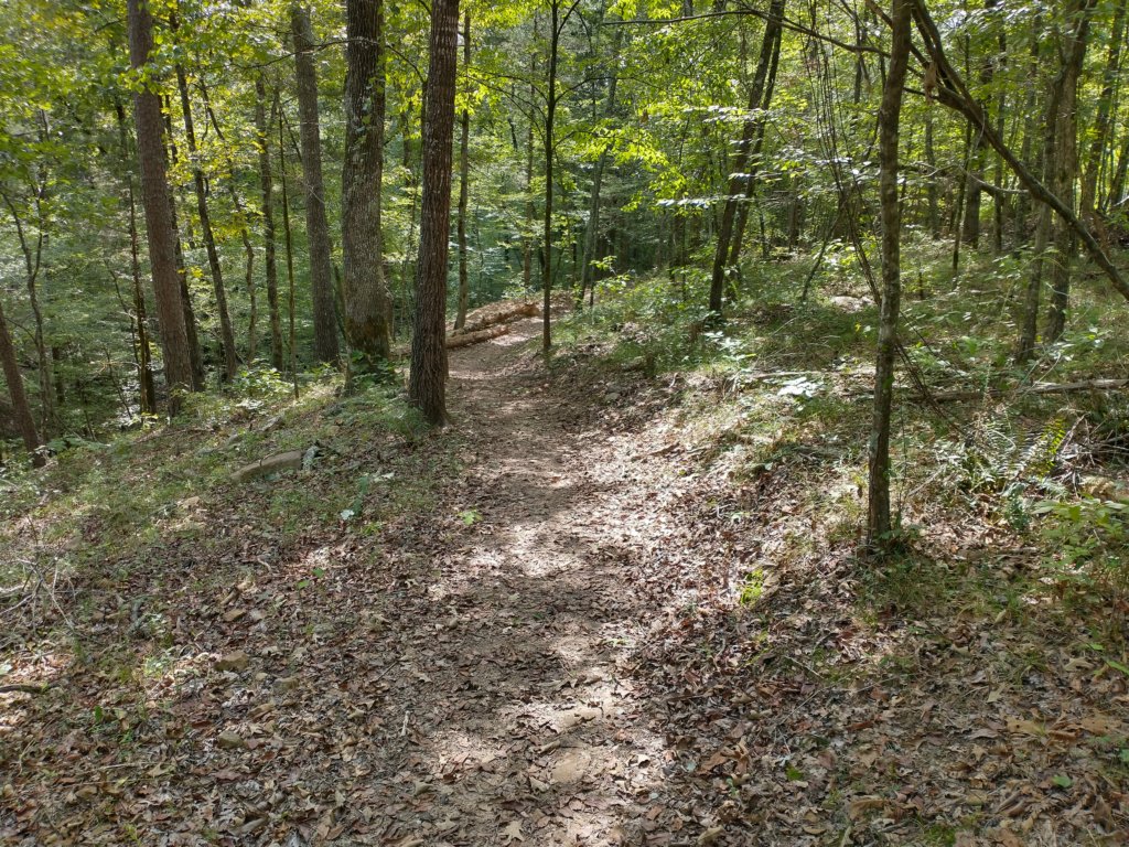 img_20220905_121941021_hdr.jpg