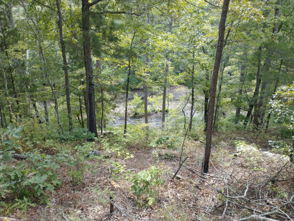 img_20220905_122537939.jpg