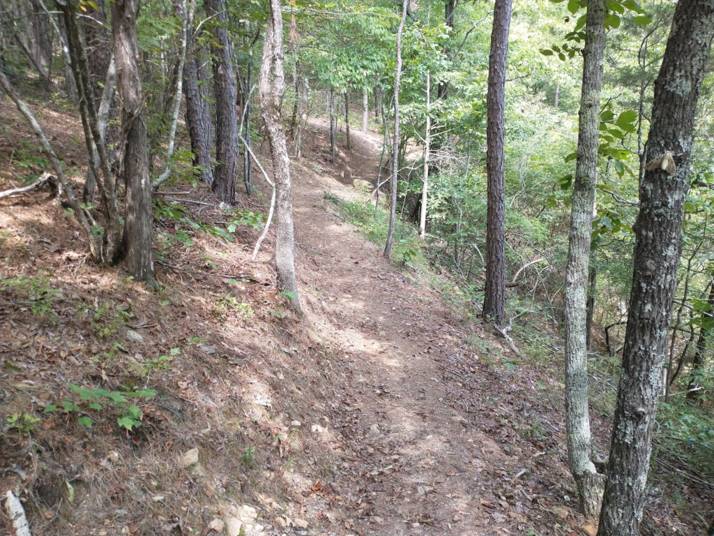 img_20220905_122838199.jpg