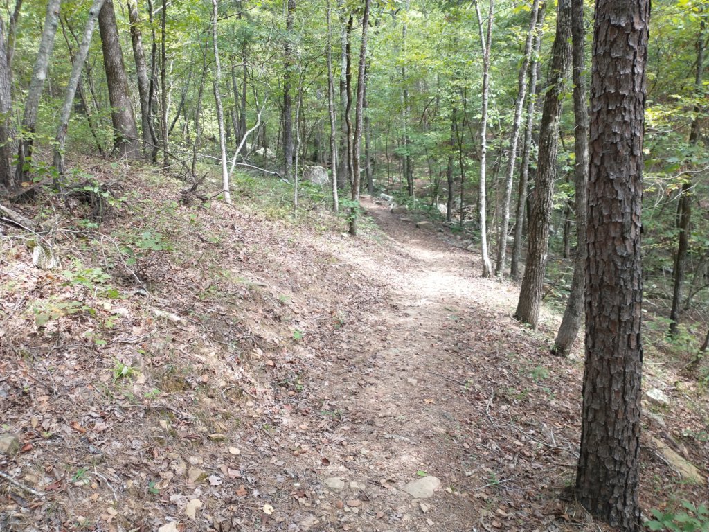 img_20220905_122931681.jpg