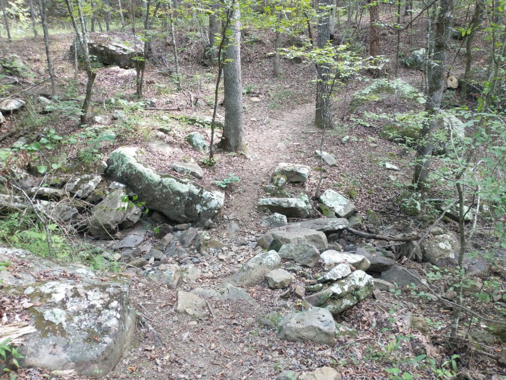 img_20220905_123013472.jpg
