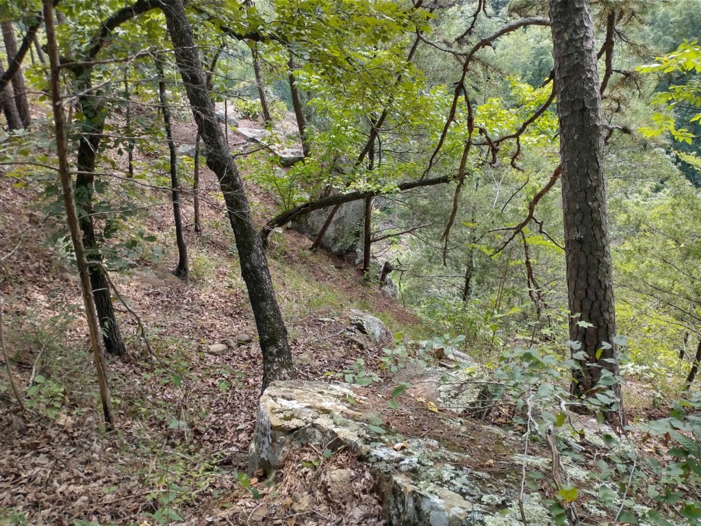 img_20220905_123443769_hdr.jpg