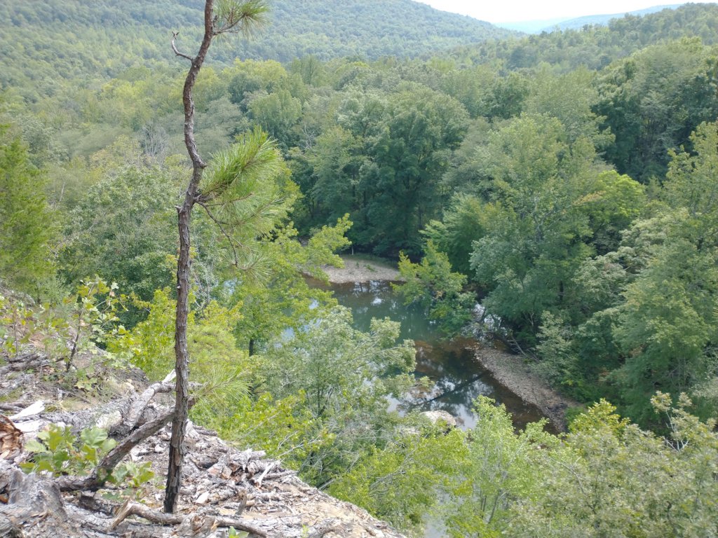img_20220905_123628316.jpg