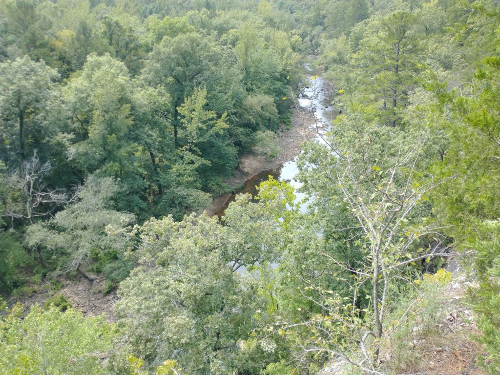 img_20220905_123725382.jpg