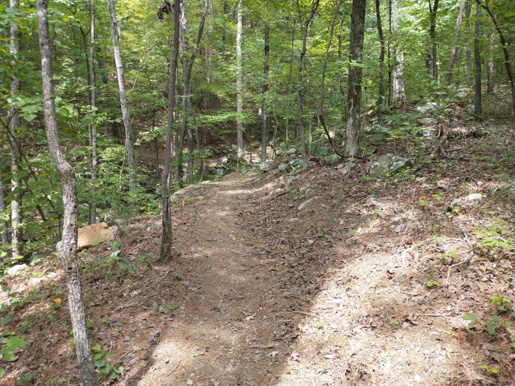 img_20220905_125251243.jpg