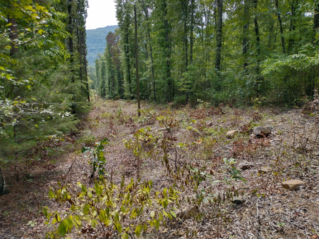 img_20220905_125657626_hdr.jpg