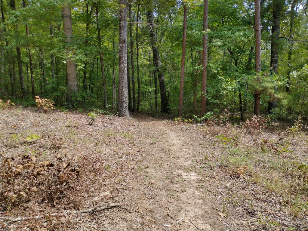 img_20220905_130013450_hdr.jpg
