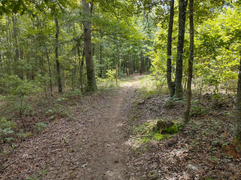 img_20220905_130515190_hdr.jpg