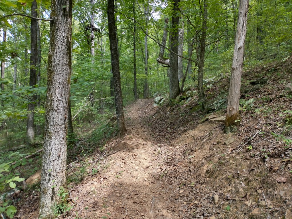 img_20220905_131556672_hdr.jpg