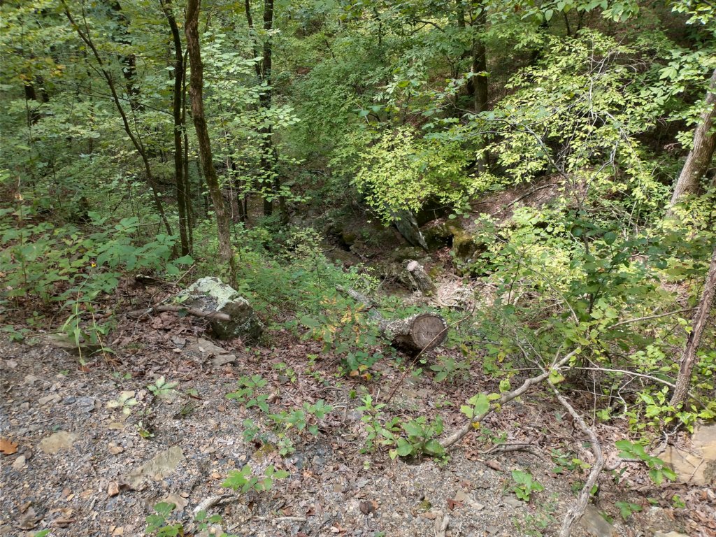 img_20220905_131948617_hdr.jpg